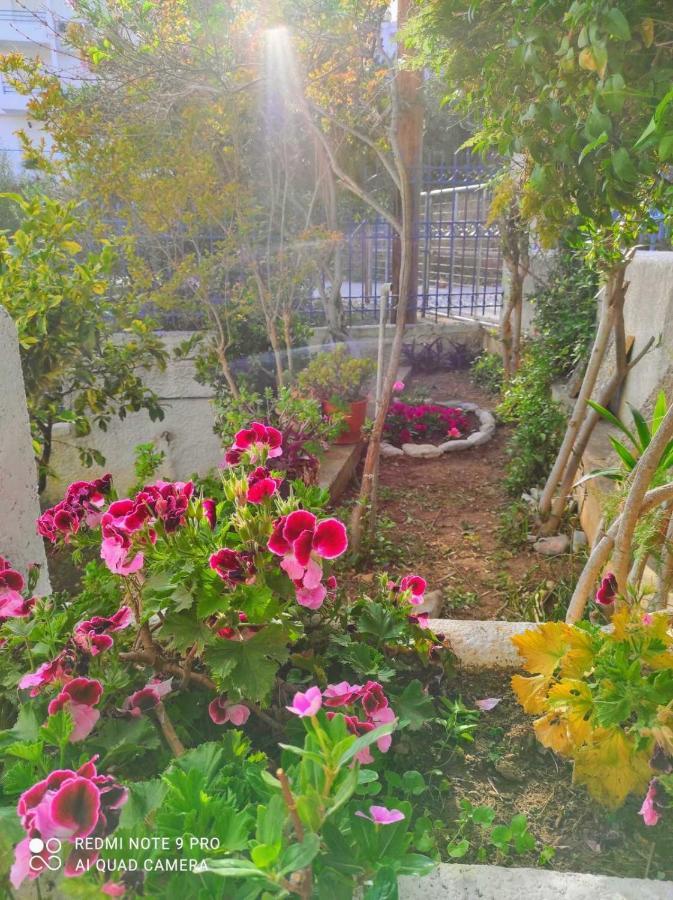 Rigos House At Askeli Beach, Poros Island Villa Poros Town Exterior photo